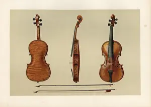 Antonius: Violin bought by Samuel Hellier in 1679 from