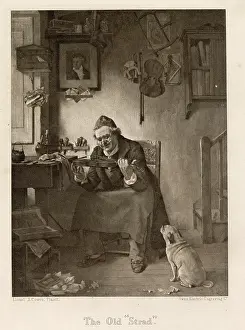 Strad: Violinist and admires his old Stradivarius violin