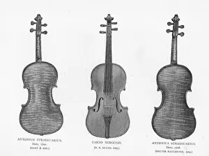 Strad: Three violins by Stradivarius and Bergonzi