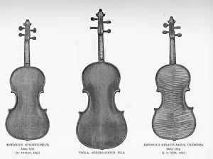 1703: Two violins and a viola by Stradivarius