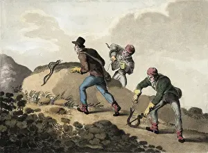 Viper: Viper Hunt (19th c.). Litography