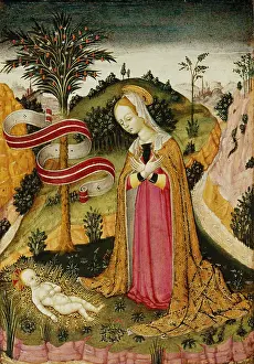 Bonifacio: The Virgin in Adoration of an Infant
