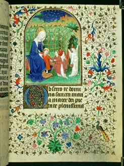 1430s: The Virgin and Child in a Rose Garden