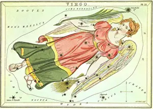 Stalk: Virgo, the Virgin