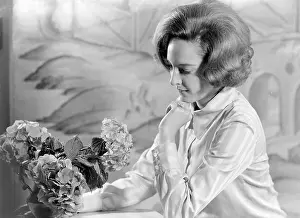 Viscountess: Viscountess Hereford (Susan Godley)
