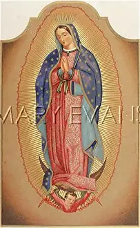 Guadalupe: VISION AT GUADALUPE