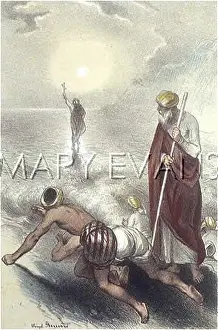 Scatter: VISION OF ST THOMAS