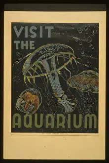 Aquariums: Visit the aquarium