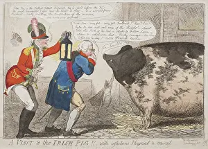 Enniscorthy: A Visit to the Irish Pig!! With reflections Physical & Moral