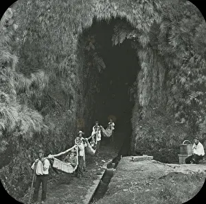 Amounts: Visit to Madeira - The Levada Tunnel