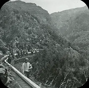 Levada: Visit to Madeira - Path along the lower levada