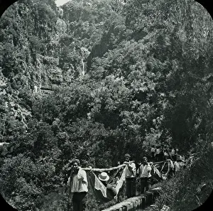Hammocks: Visit to Madeira - Rabacal - Hammock Ride Resumed
