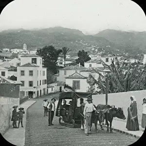 Carro: Visit to Madeira - Road to the Hotel