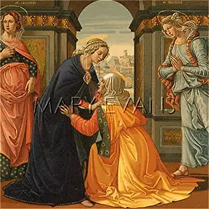 Hails: THE VISITATION