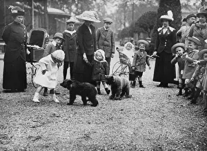 Attracted: Visitors in the Rotterdam Zoo, 1913