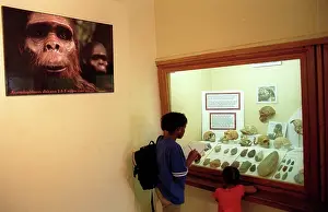 Australopithecus: Visitors to the Sterkfontein Caves Museum