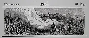 Calendars: Viticulture calendar 1885