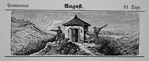 Calendars: Viticulture calendar 1885