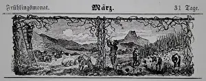 Calendars: Viticulture calendar 1885