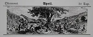 Calendars: Viticulture calendar 1885