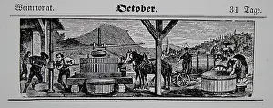 Calendars: Viticulture calendar 1885