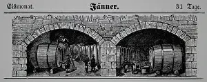 Cellars: Viticulture calendar 1885