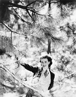 Vivacious: Vivacious woman looking through the branches of a pine tree