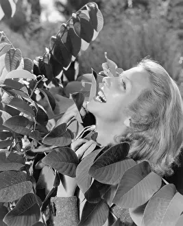 Vivacious: Vivacious woman looking up into a tree