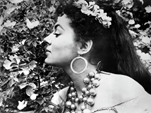 Earing: Viveca Lindfors - actress