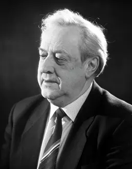 Belinsky: Vladislav Strezhelchik, 1990