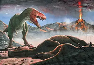 Alertness: A volcanic eruption destroys the hunting grounds of ?