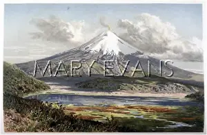 Cotopaxi: VOLCANO / COTOPAXI