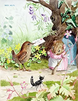 Wrens: Vole Receives Birthday Card