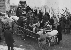 Volhynia: Volhynia Germans immigrate to Germany, 1939