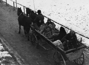Resettle: Volhynia Germans migrate to Germany, 1939