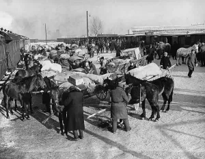 Baggage: Volhynian Germans at the station, 1940