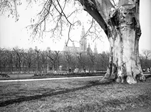Volksgarten: Volksgarten in Vienna