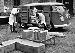 Volkswagens: Volkswagen