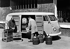 Volkswagens: Volkswagen