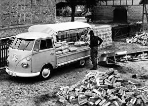 Volkswagens: Volkswagen