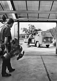 Camper: Volkswagen