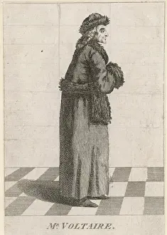 Voltaire: Voltaire