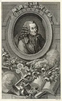 Voltaire: Voltaire