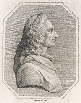 Voltaire: Voltaire
