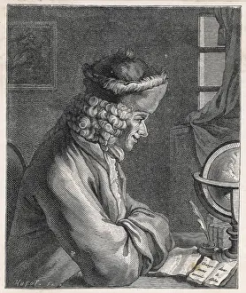 Voltaire: VOLTAIRE DAUZEL/MICHEL