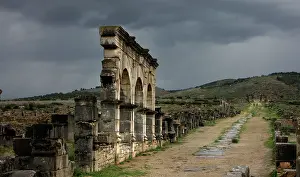 Volubilis: Volubilis