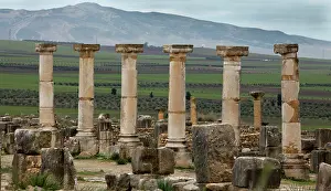 Volubilis: Volubilis