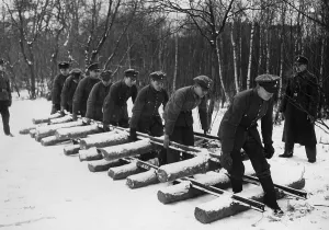 Nsdfb: Voluntary work service of the Stahlhelm - Steel