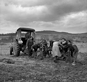 Usti: Volunteer work