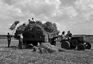 Velke: Volunteers